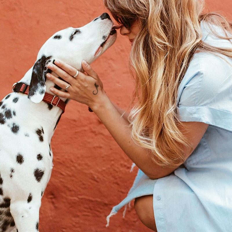 5 Gifts for a Pet Lover
