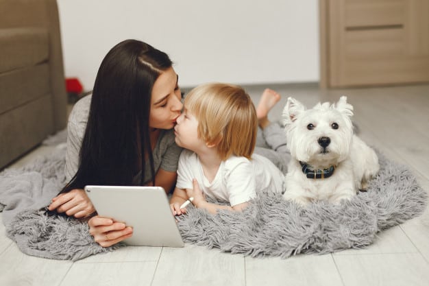 mother little son fun home with dog 1157 29373