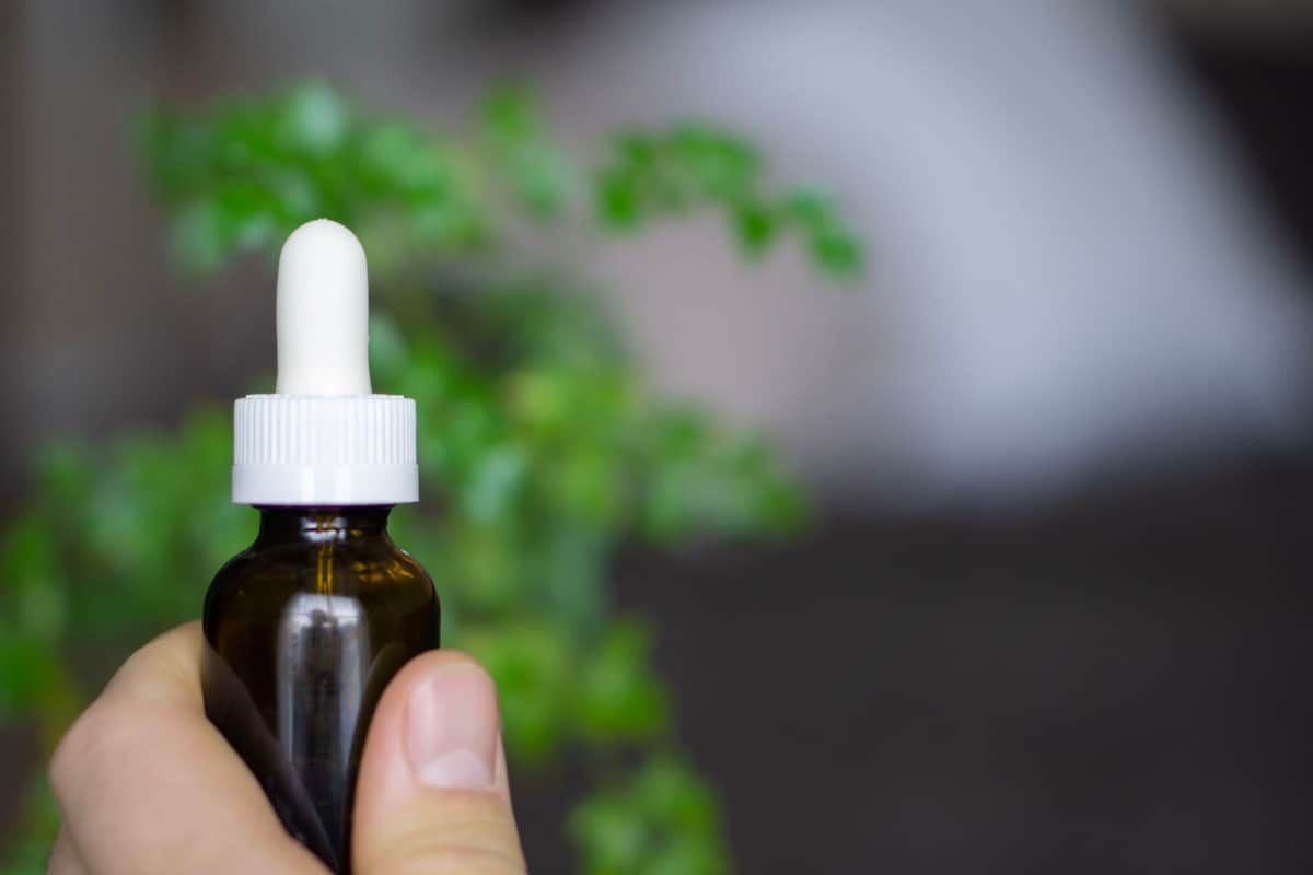 CBD oil and sports