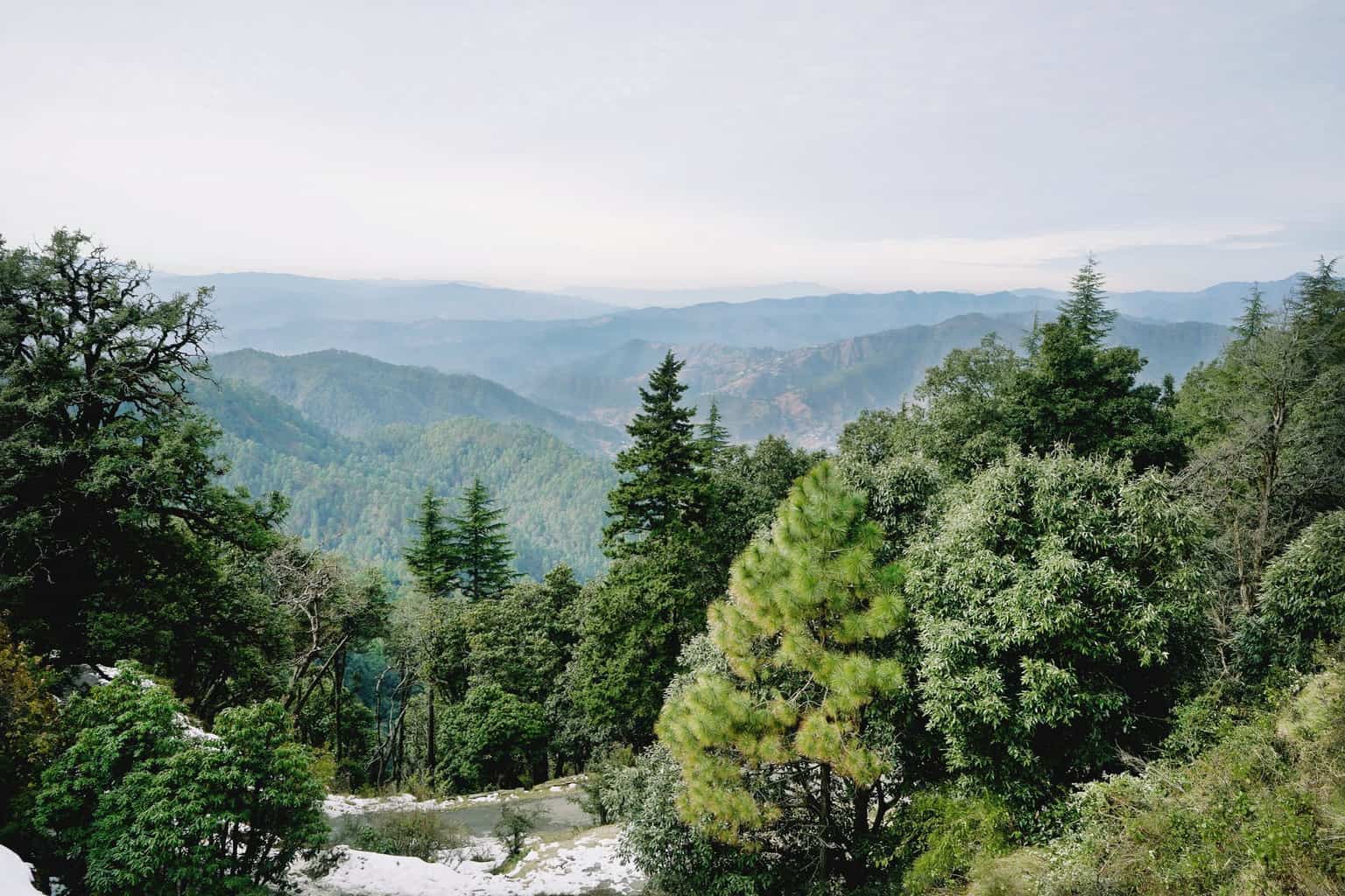 calm valley with green trees on slopes calm valley with green trees on slopes