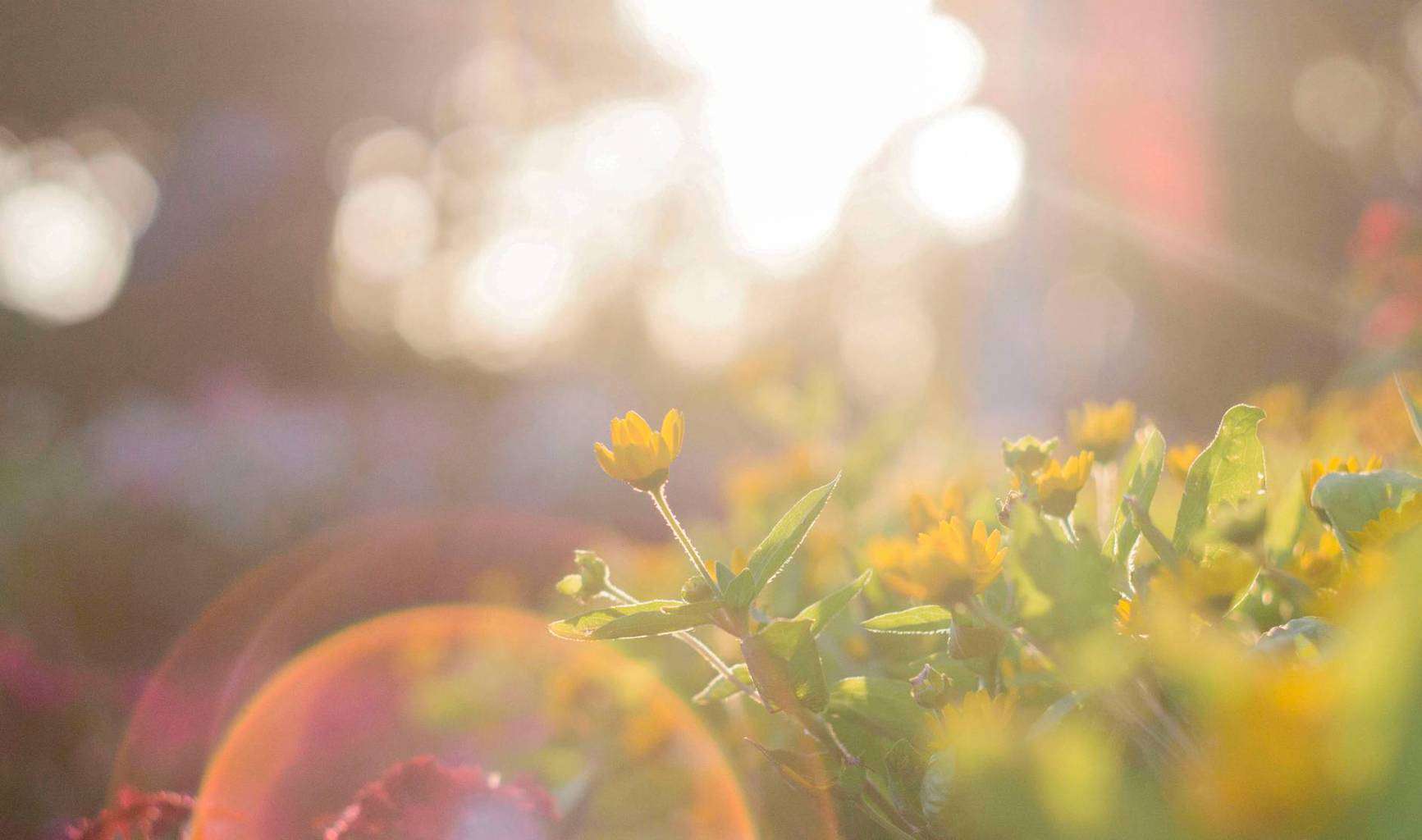 Here are 5 ways for gardening with kids! Here are 5 ways for gardening with kids!