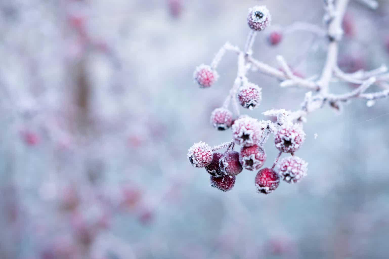 Prepare your home for winter