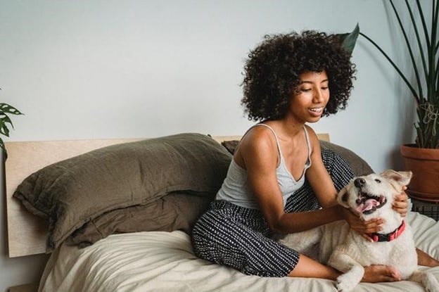 5 Ideas to Keep Your Home Safe for Pets