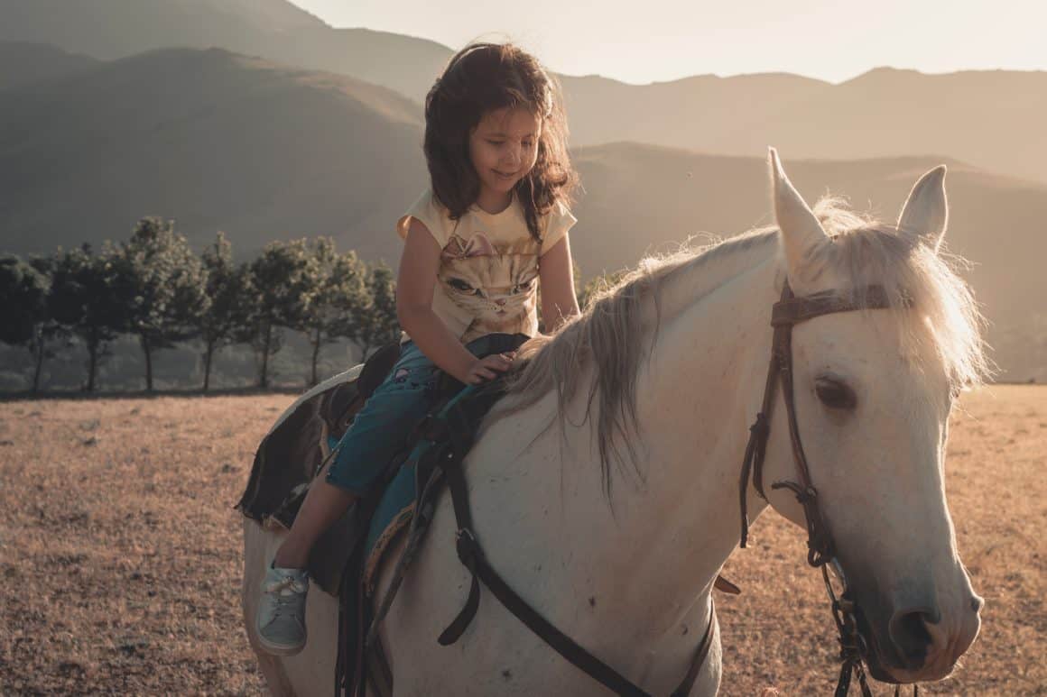 sajad nori 39FRqHIhDls unsplash