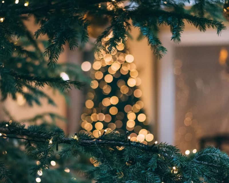 Christmas lights