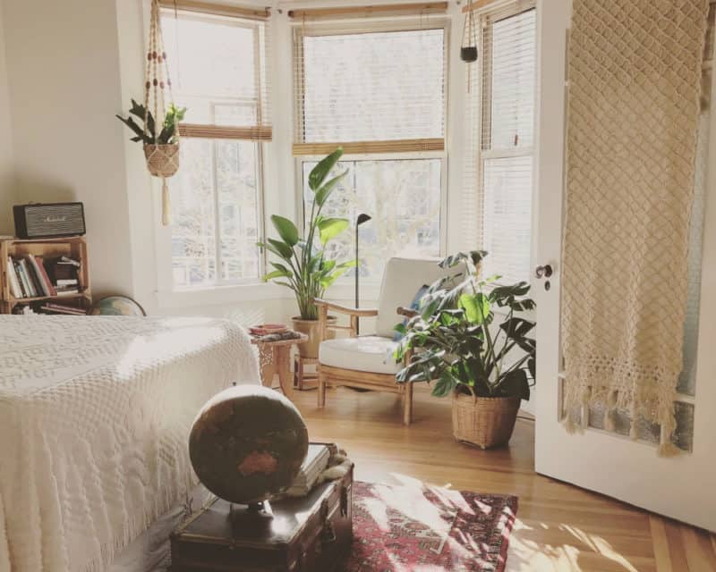 Decorate with plants