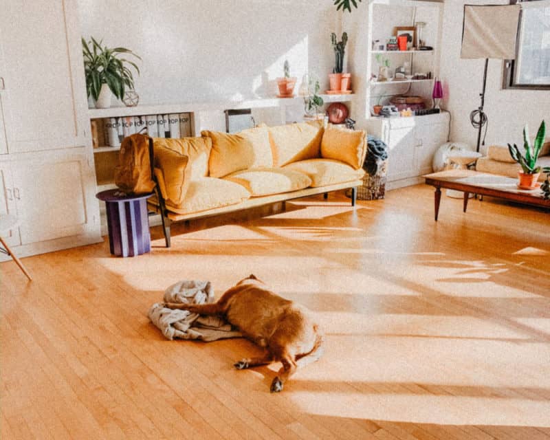 wood flooring wood flooring
