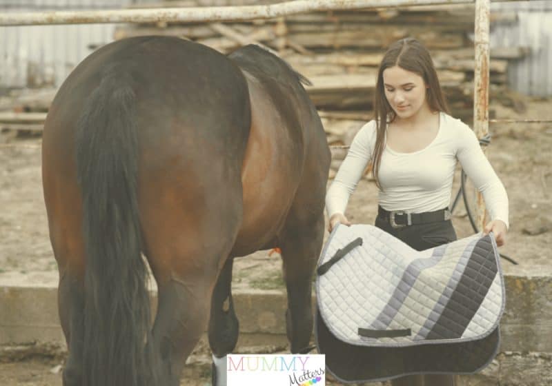 Looking after a horse