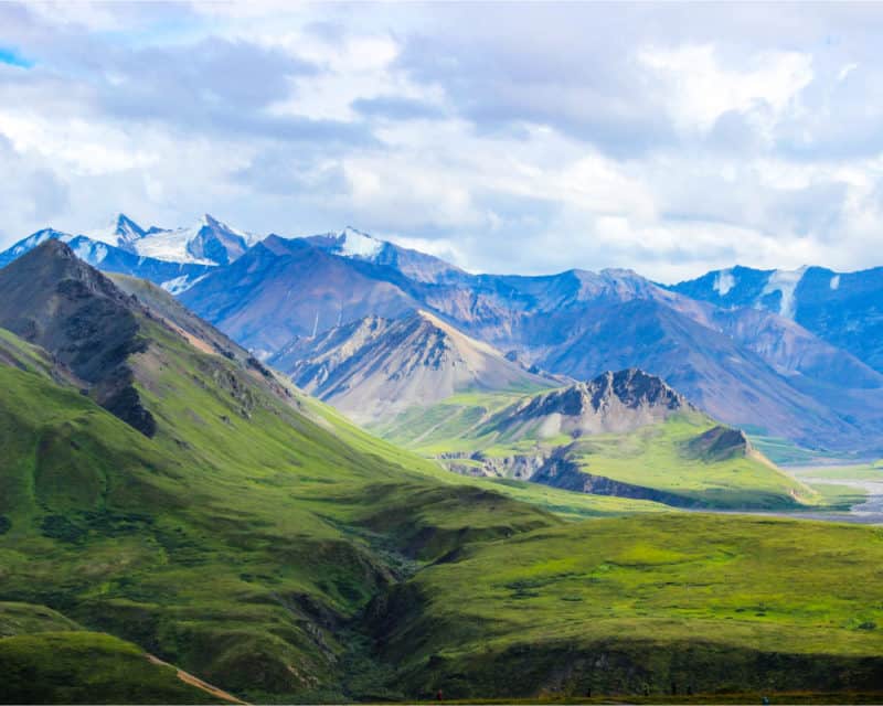 Denali National Park