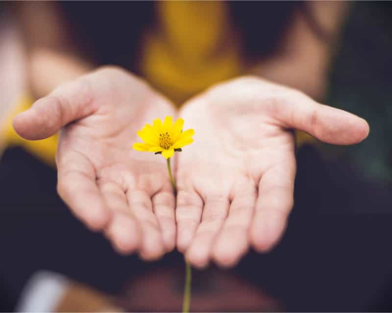 Mindfulness