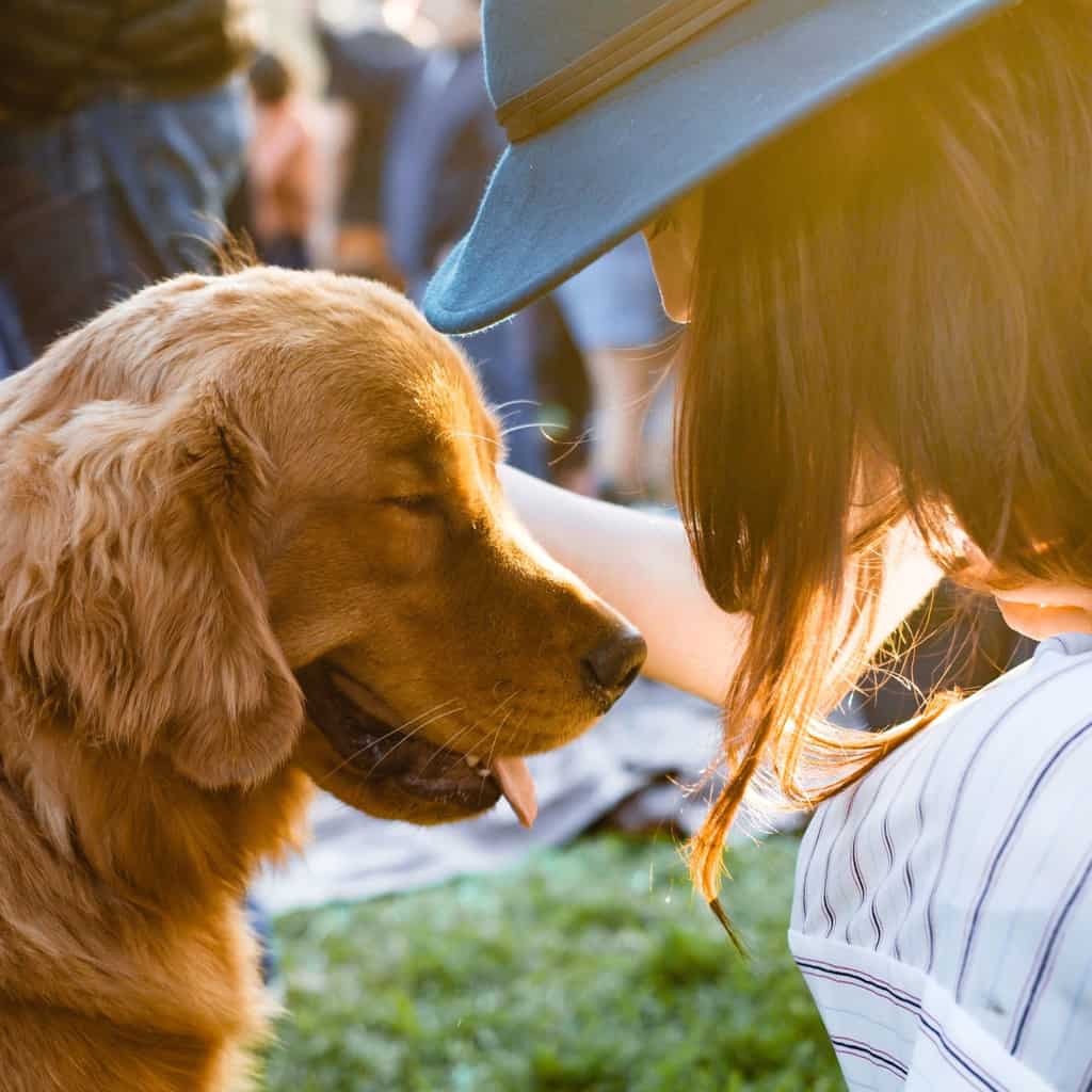 Amazing Gift Ideas for Dogs That Will Paws-itively Work Like A Charm