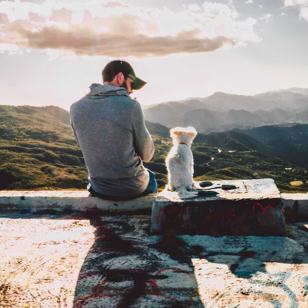 Proven Ways to Keep Your Pet Healthy and Happy