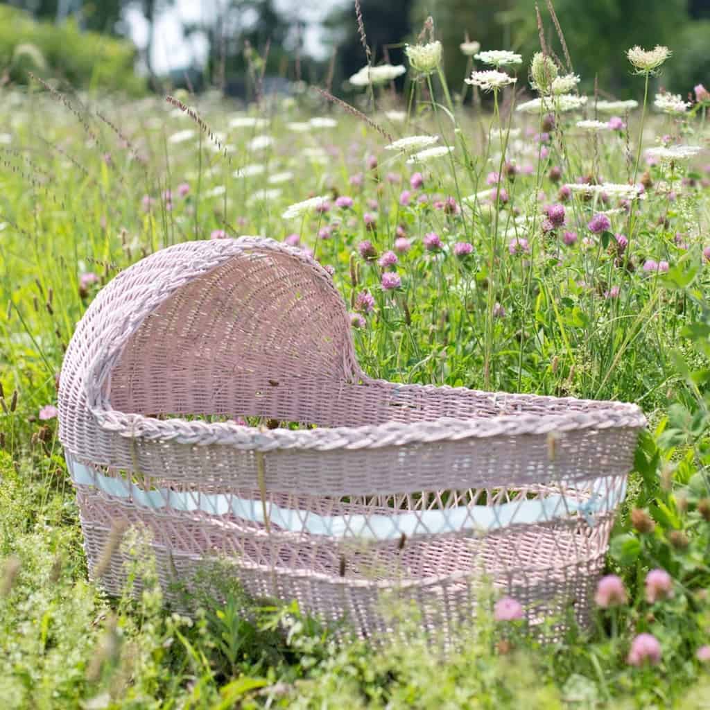 Perfect bassinet