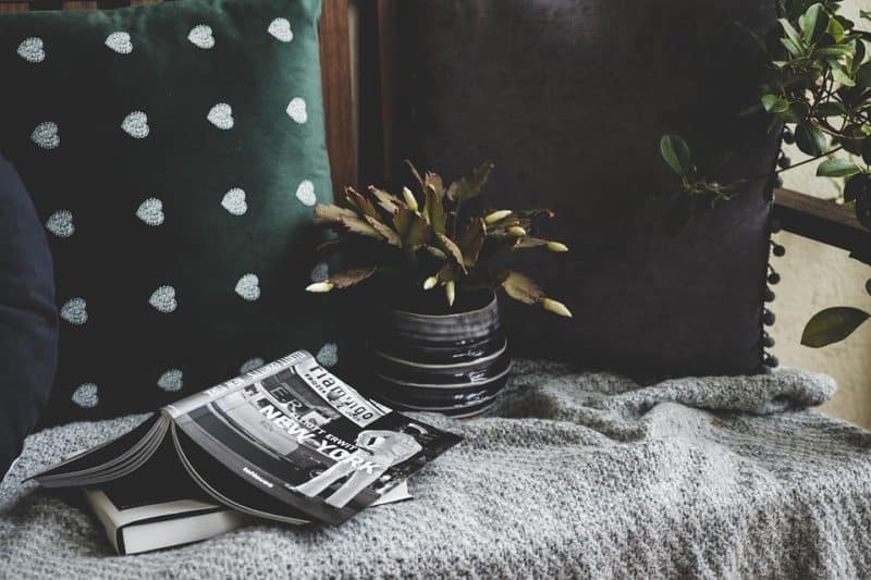 Cosy home