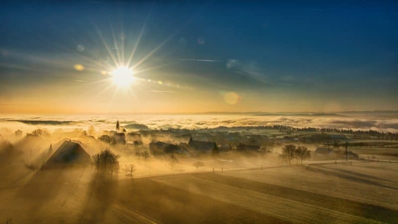Morning Morning