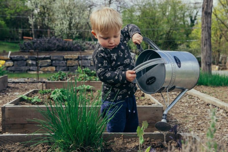 gardening tools