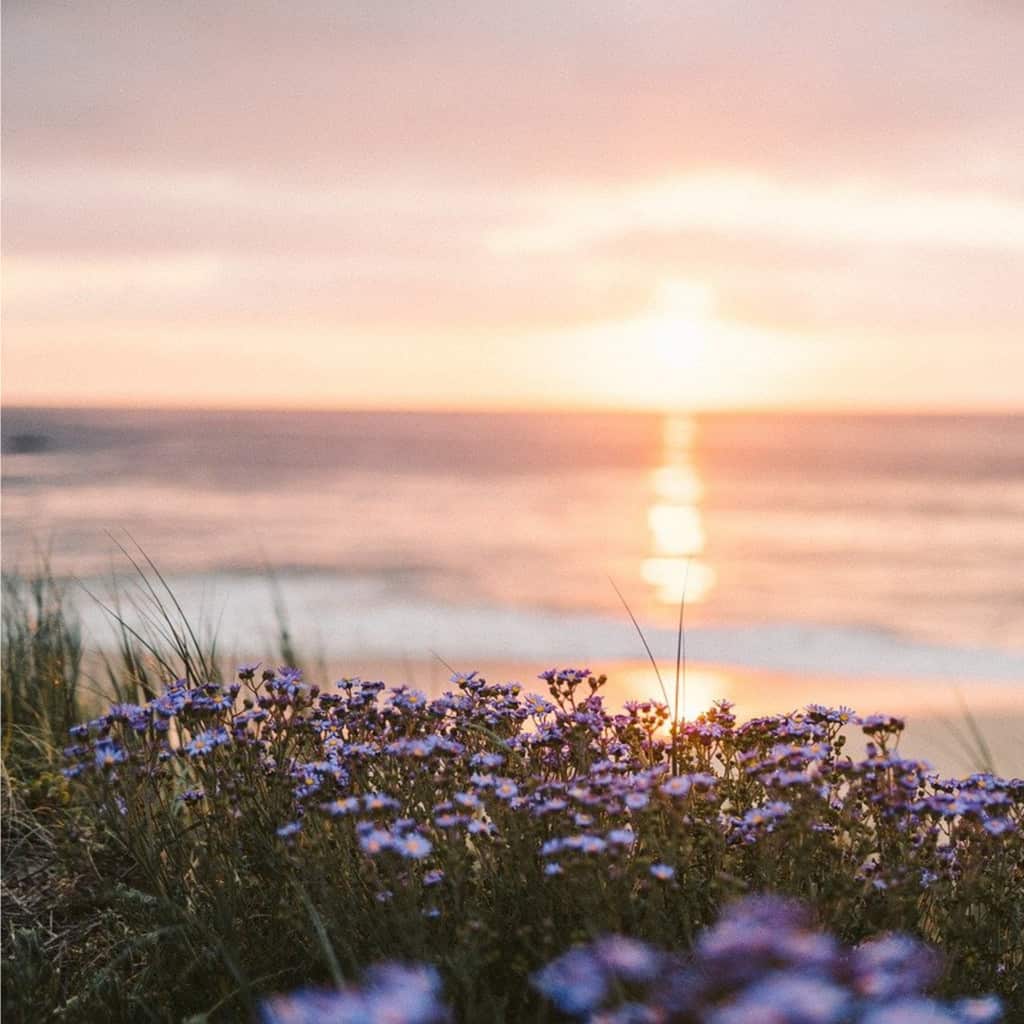 How To Plan A Perfect Getaway With Your Family