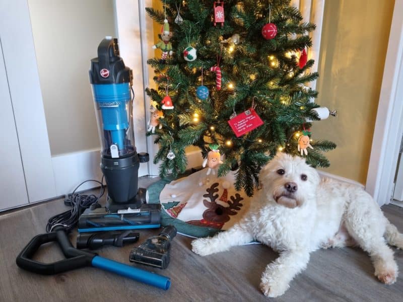 Hoover Upright 300 Hoover Upright 300