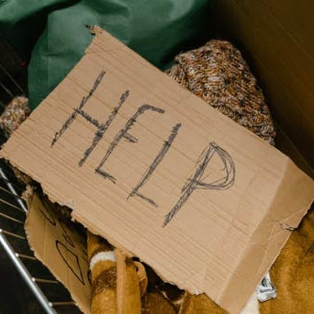 Why It’s Important to Give to Charity