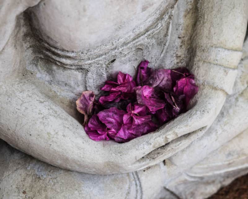Postpartum healing Postpartum healing