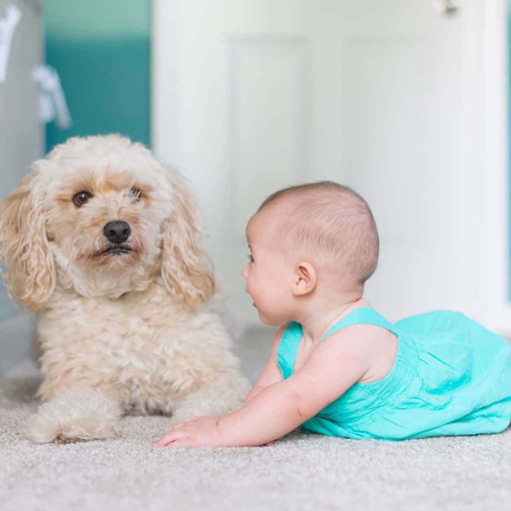 carpet cleaning with kids on board