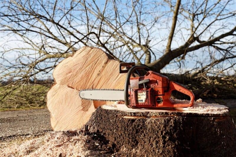 The Ultimate Guide to Chainsaws Reviews, Prices, and Advice The Ultimate Guide to Chainsaws Reviews, Prices, and Advice