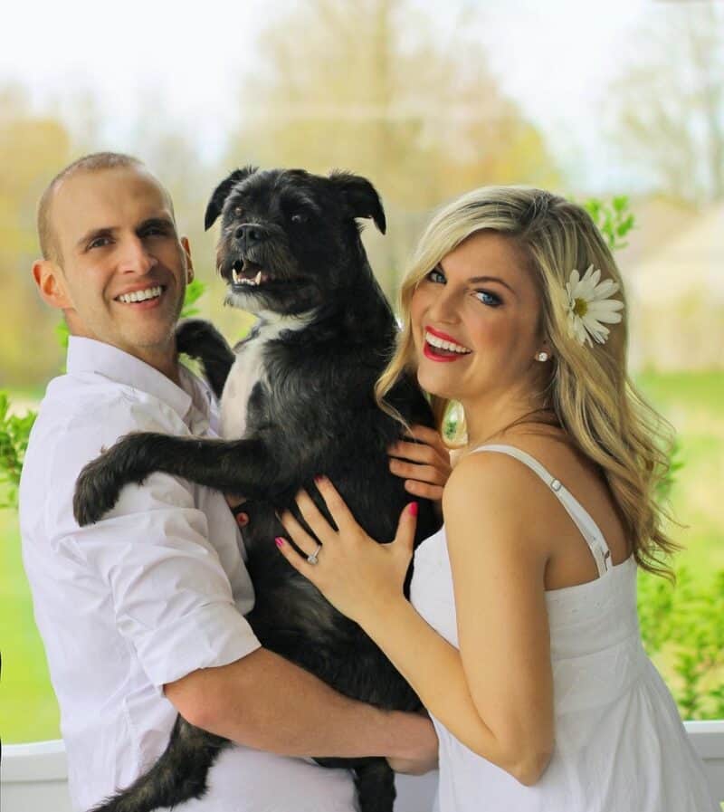 The Benefits of Dog Friendly Getaways and Holidays