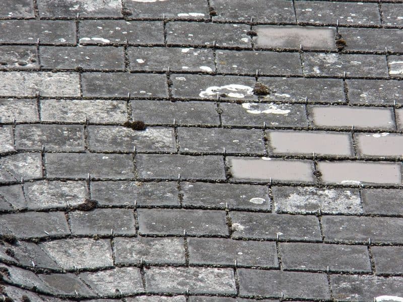 asbestos