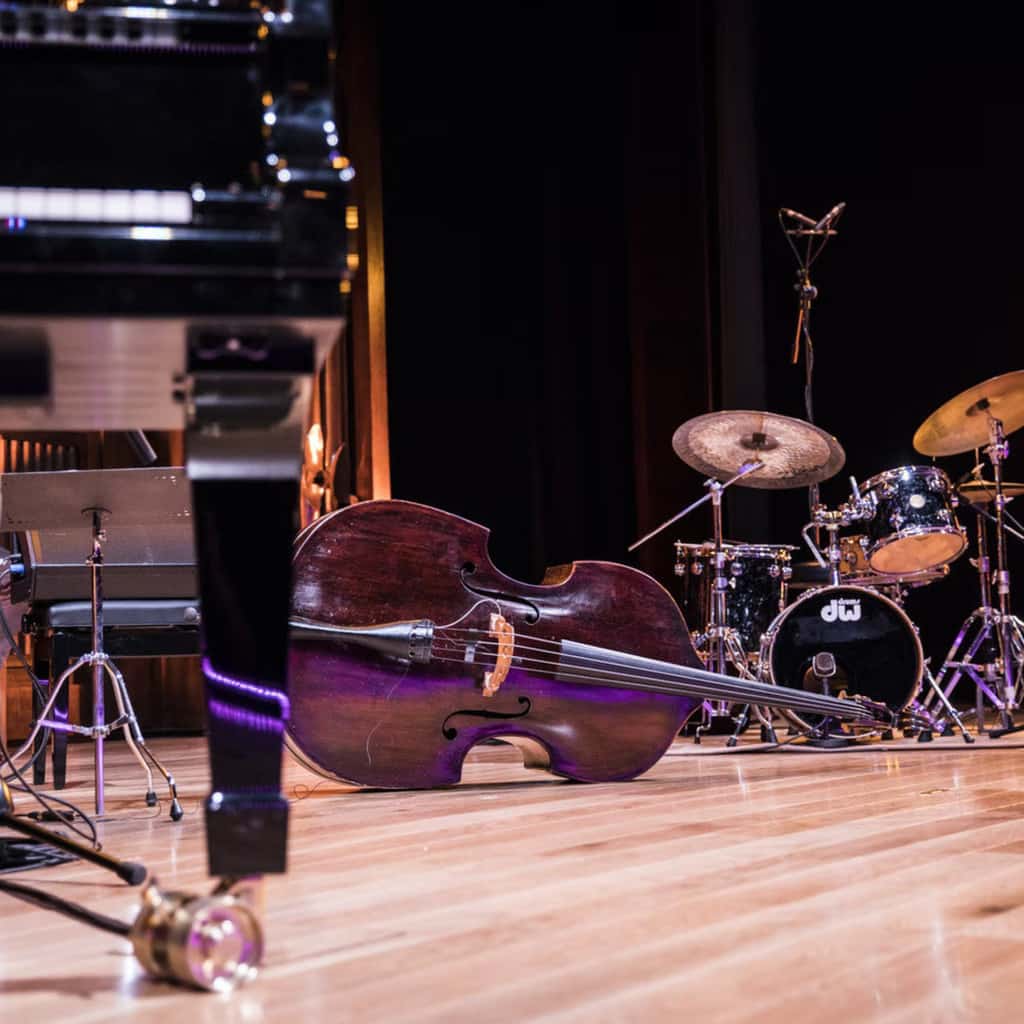 musical instruments