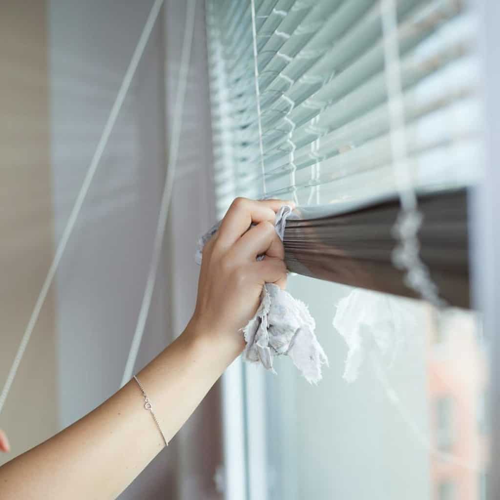 professional house cleaning services