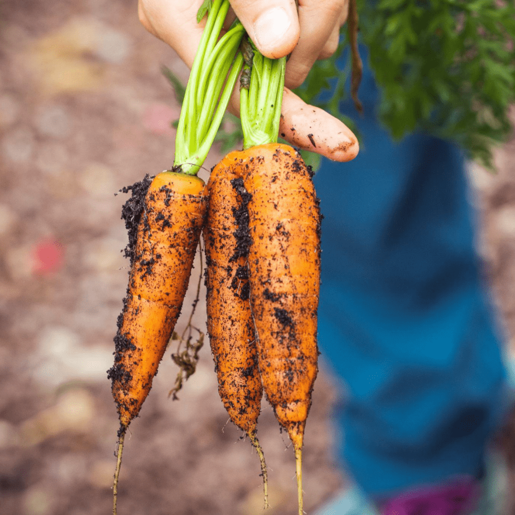 Healthiest Vegetables