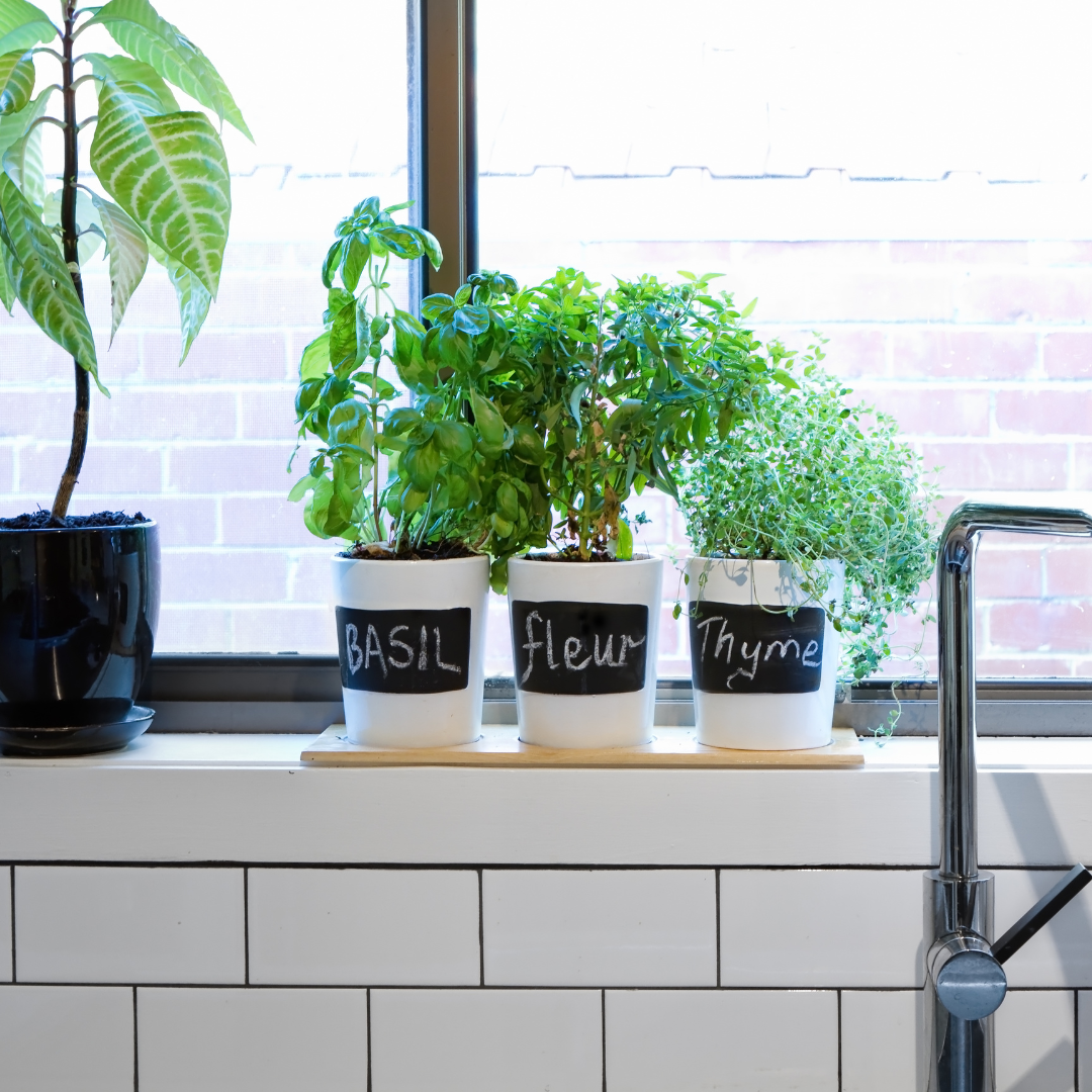 Kitchen window ideas
