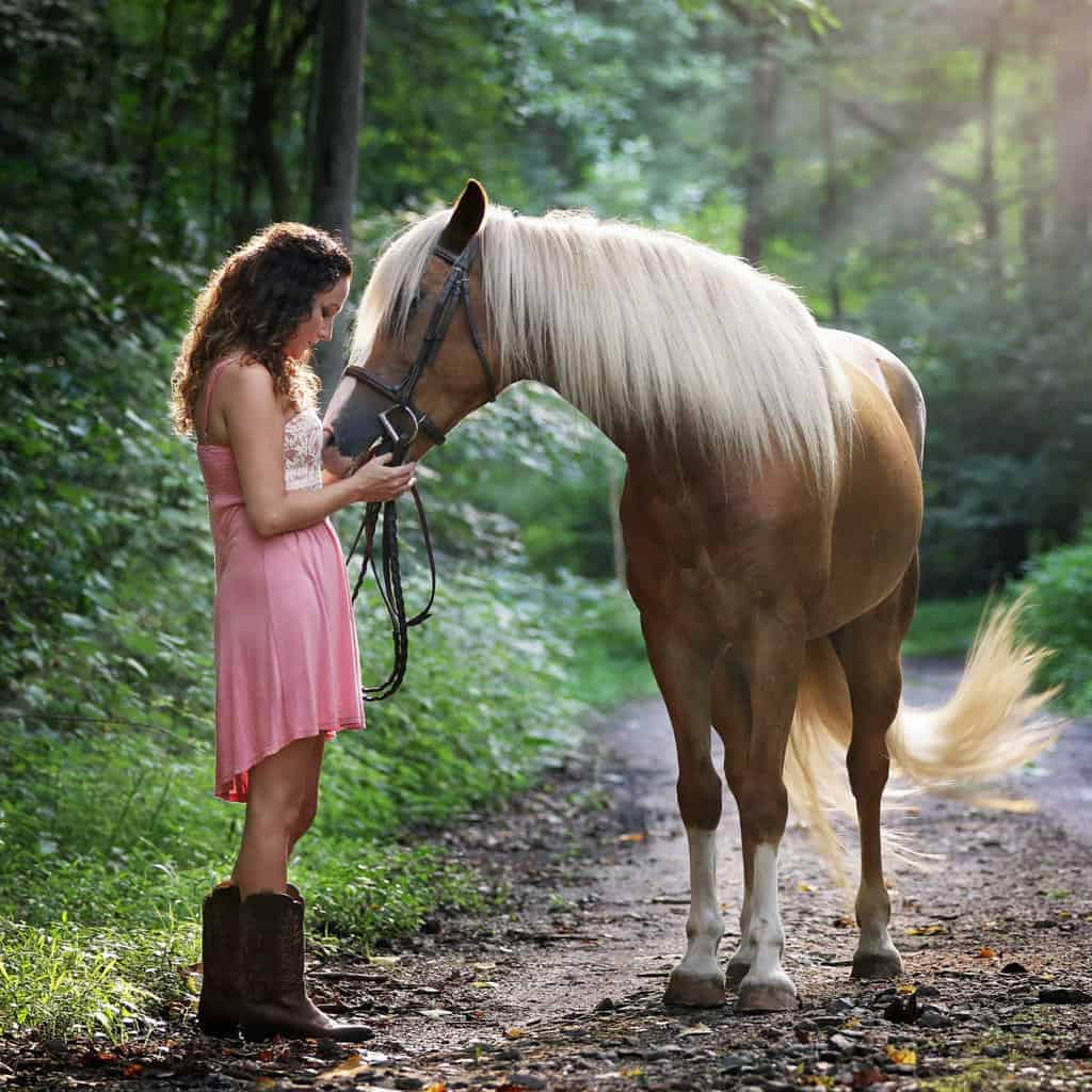 Buying a horse