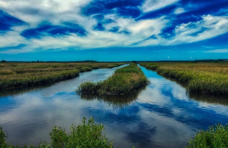 Lakes of South Carolina