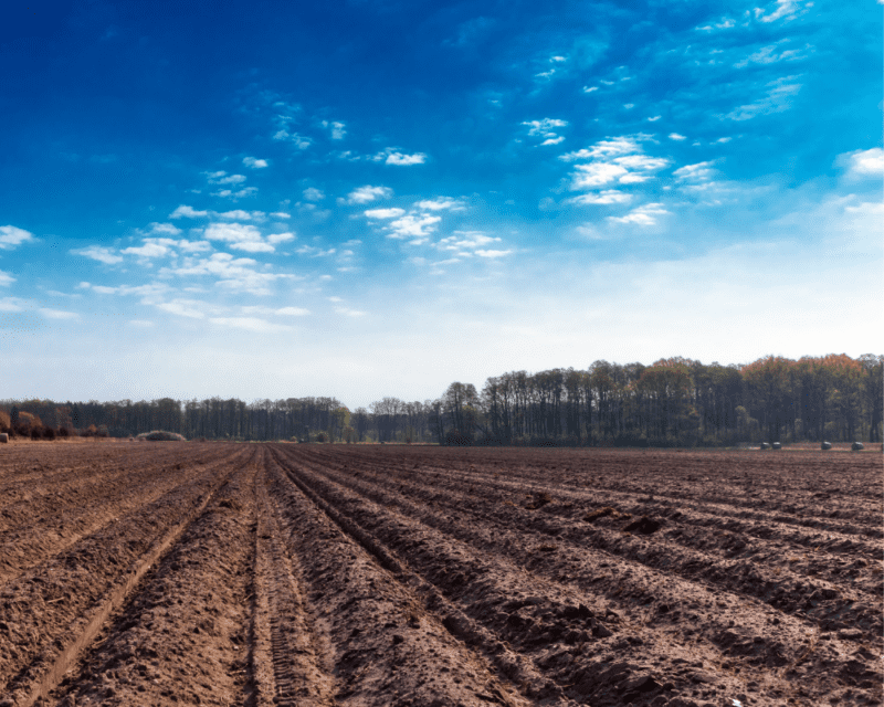 Protecting Soil Protecting Soil