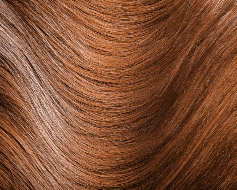 Autumnal Auburn Hair Colour Autumnal Auburn Hair Colour