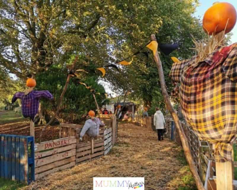 Pumpkin picking at Sacrewell near Peterborough