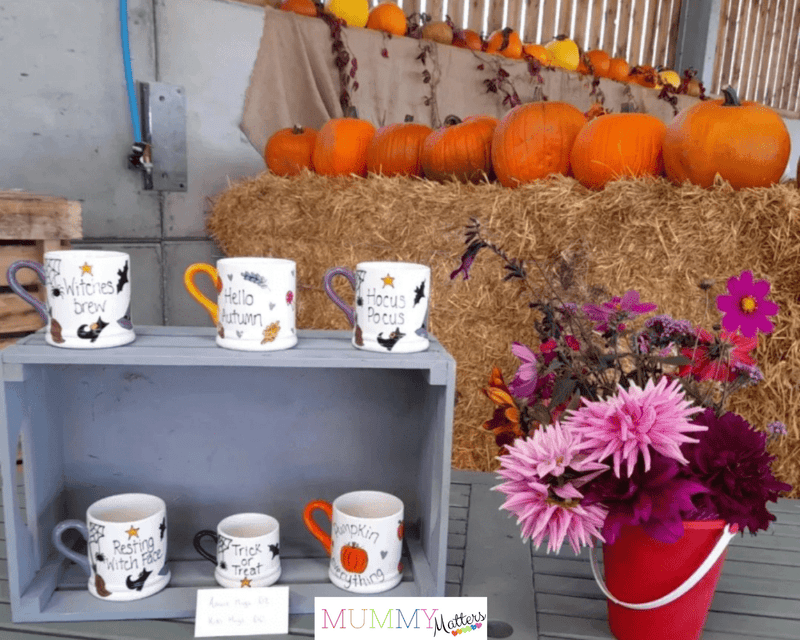 Pumpkin picking events