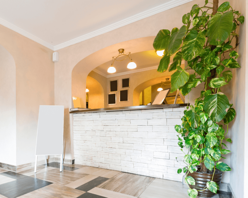 Ambience in your Business Ambience in your Business