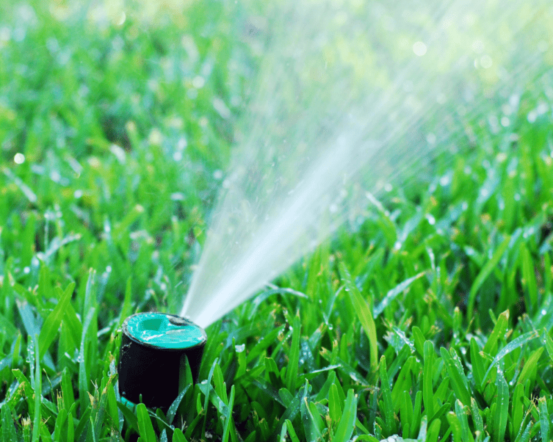 Smart watering Smart watering