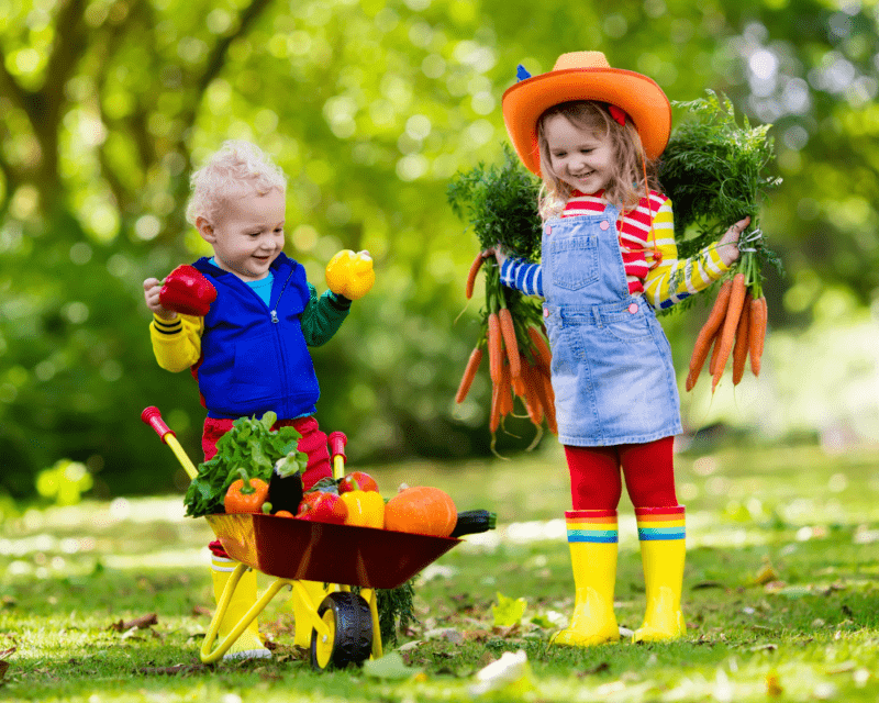 Child-Friendly Garden