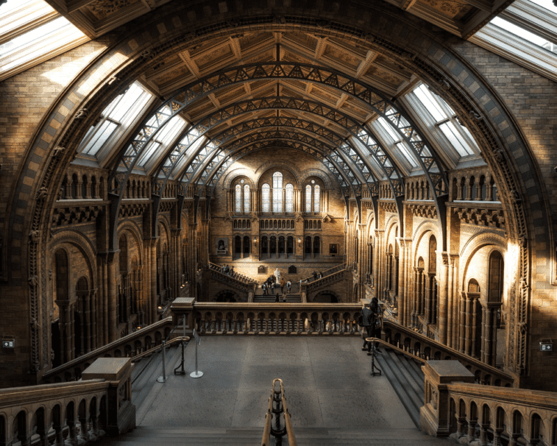 Museum Museum