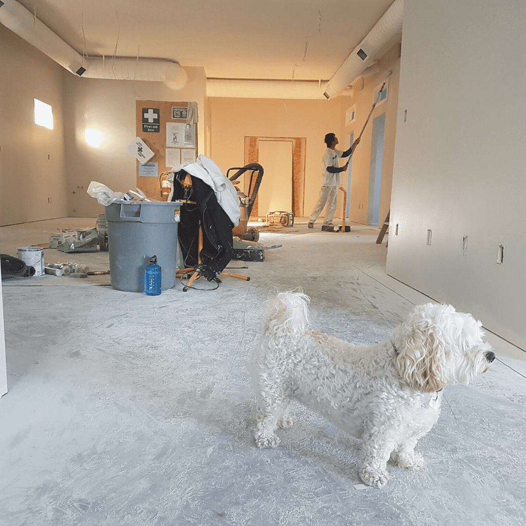 How To Clean Up After renovating