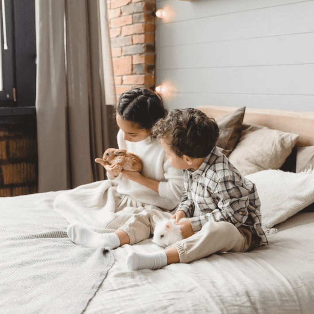 Cute pets