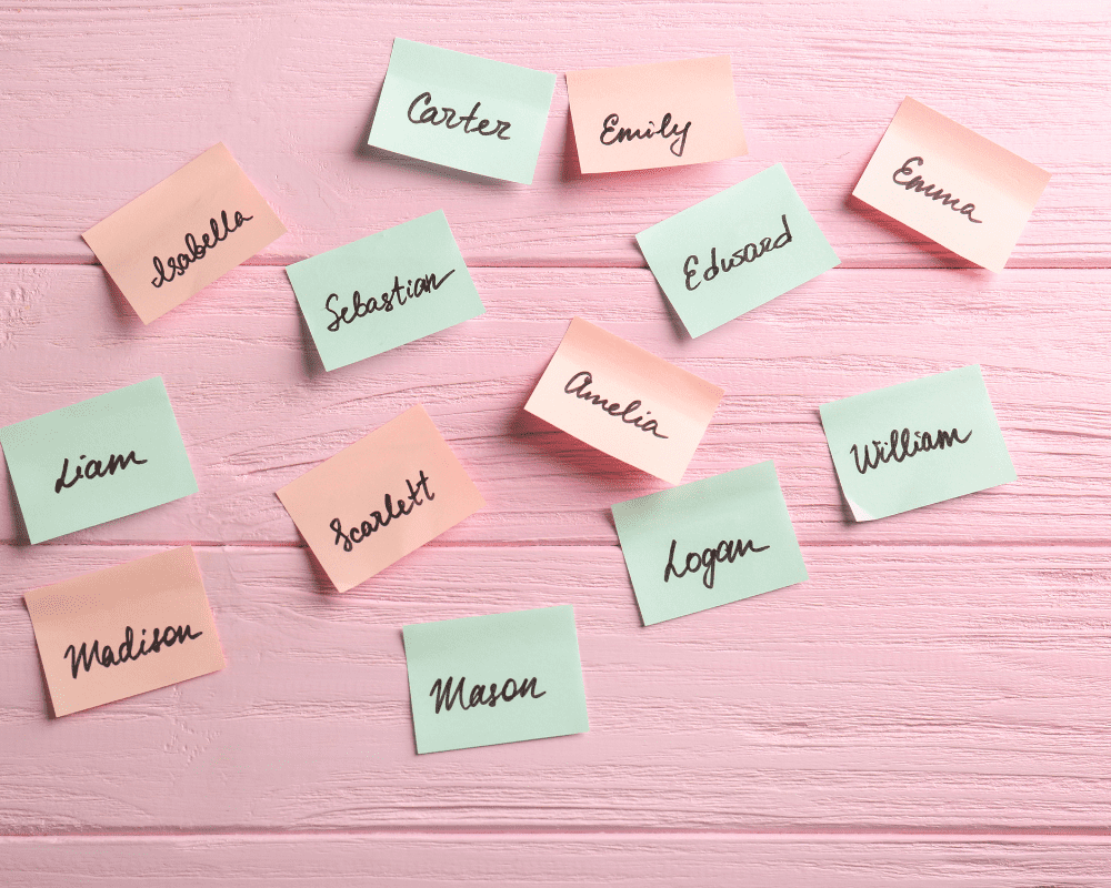 Naming Your Child Naming Your Child
