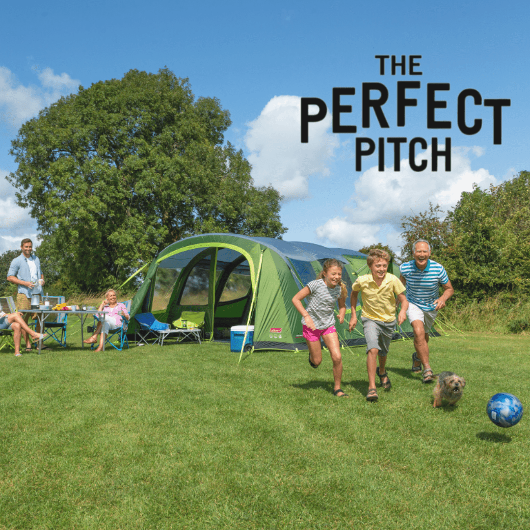 The Perfect Pitch