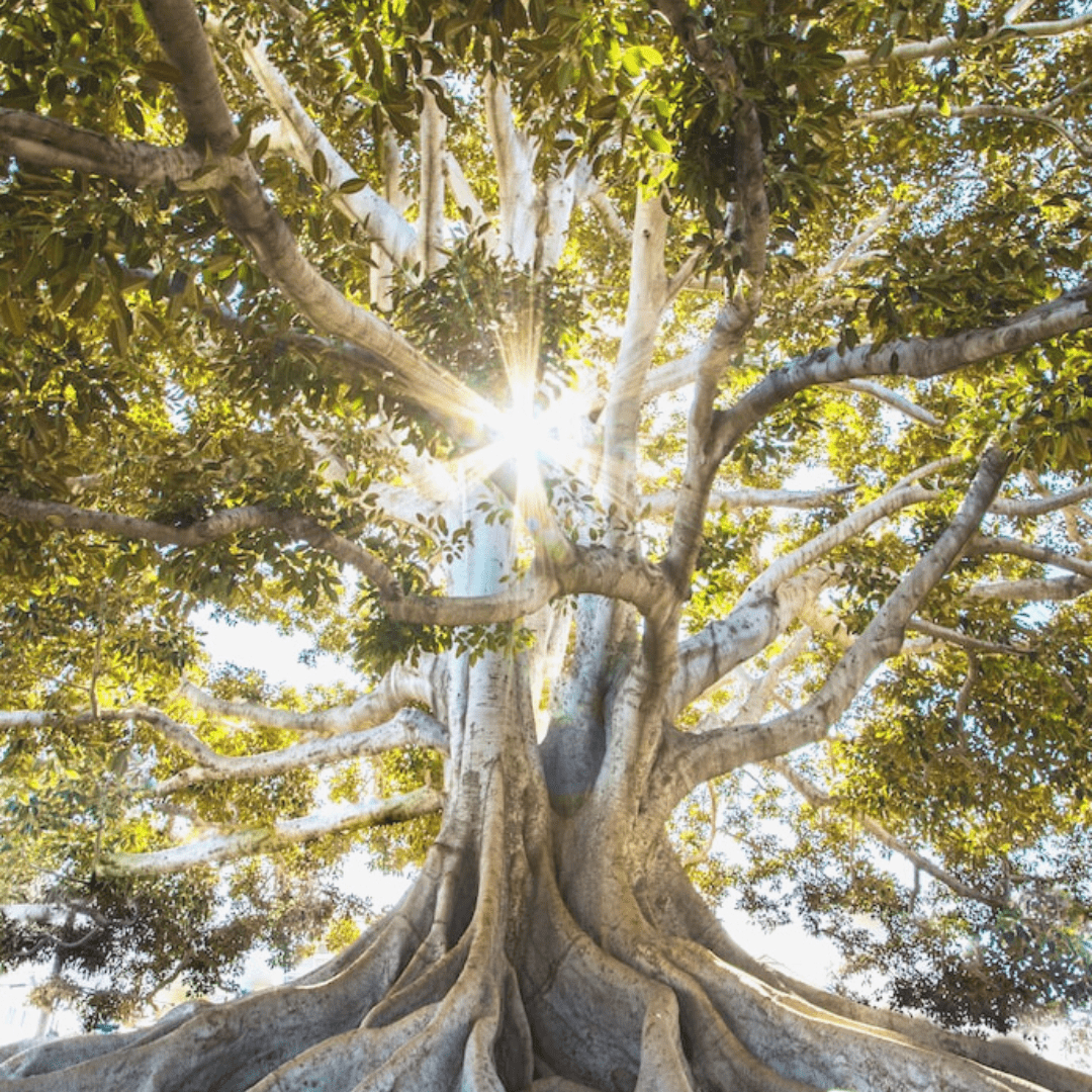 Improve Your Spiritual Health