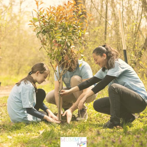 Importance of Caring for the Environment