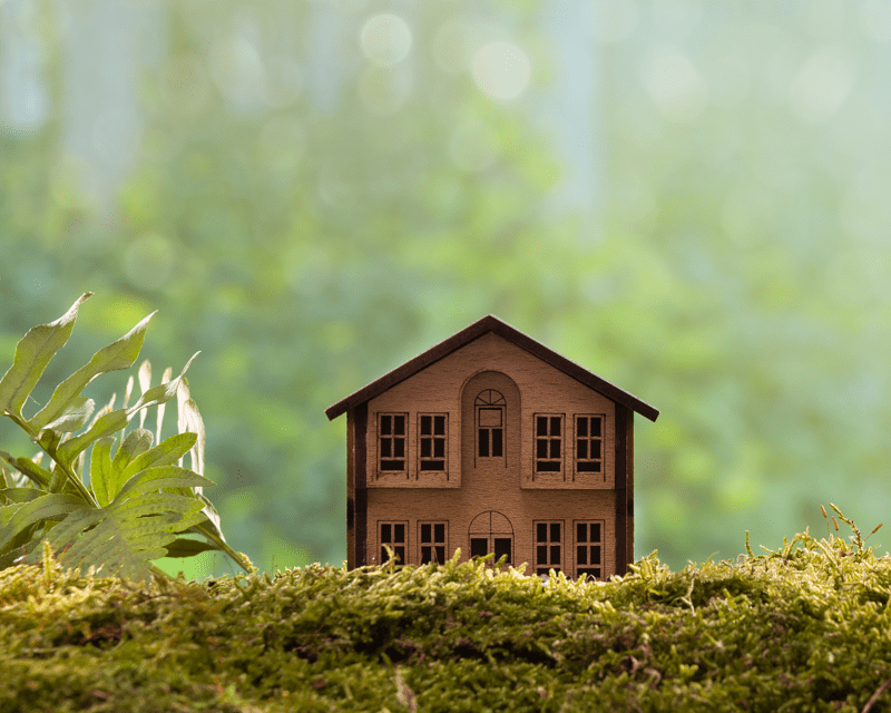 Eco-Friendly House Hunting Eco-Friendly House Hunting