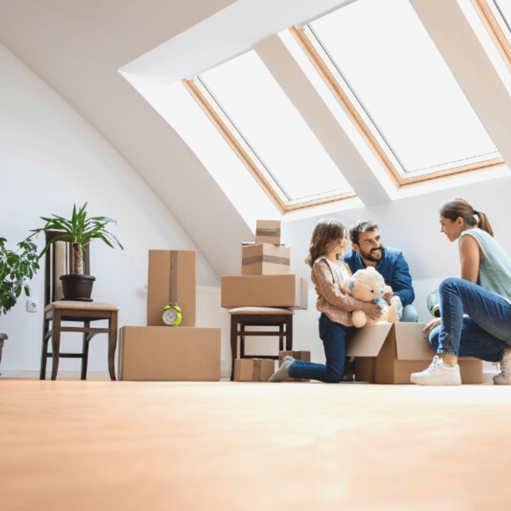 skylights ultimate guide